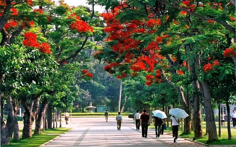 厦门大学